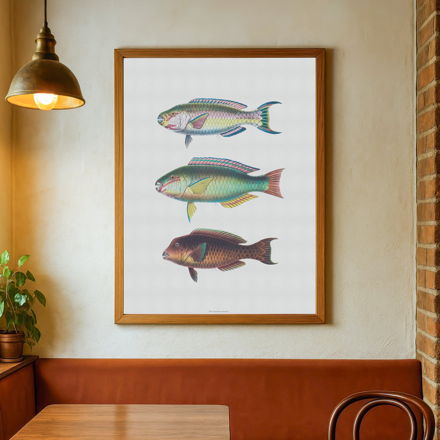 Vintage Parrotfish Print - Scarus, Chlorurus, Bolbometopon - Tropical Fish Art