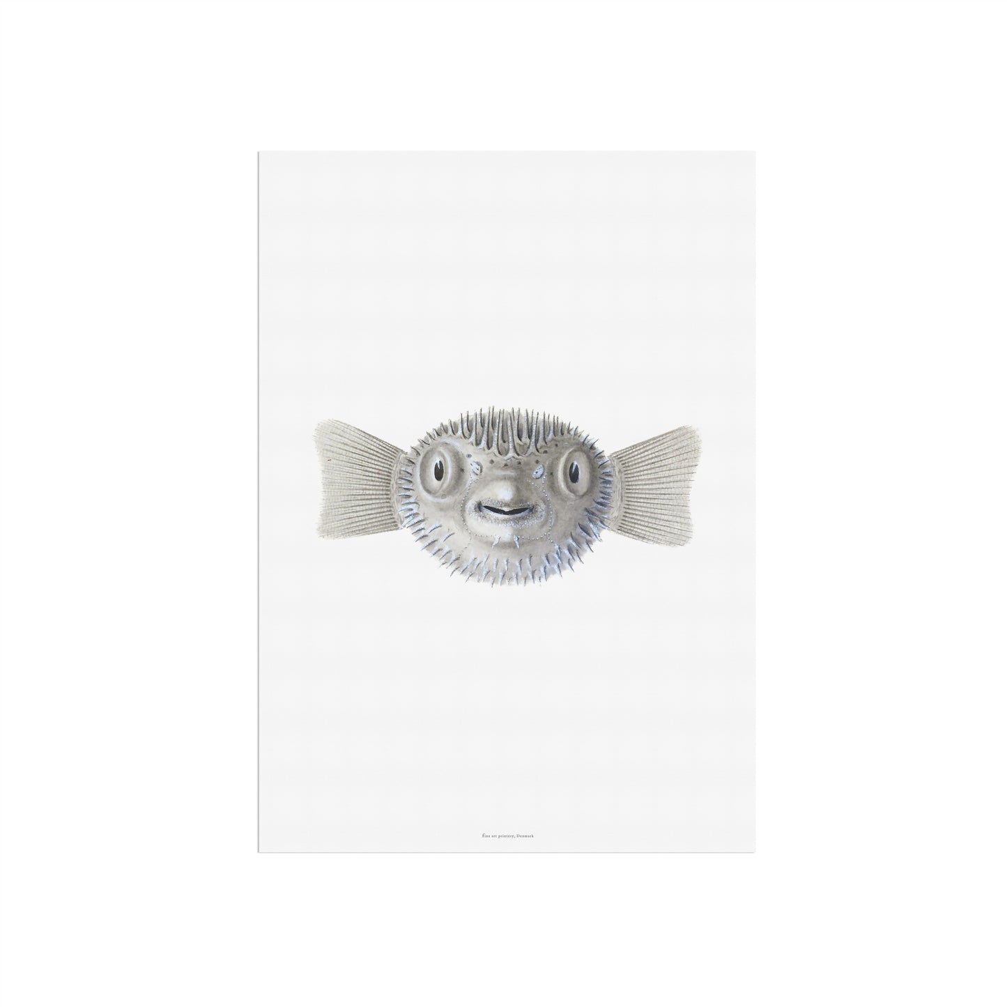 Vintage Pufferfish Botanical Print - Tetraodontidae from Drawings of Tetradons (1838)