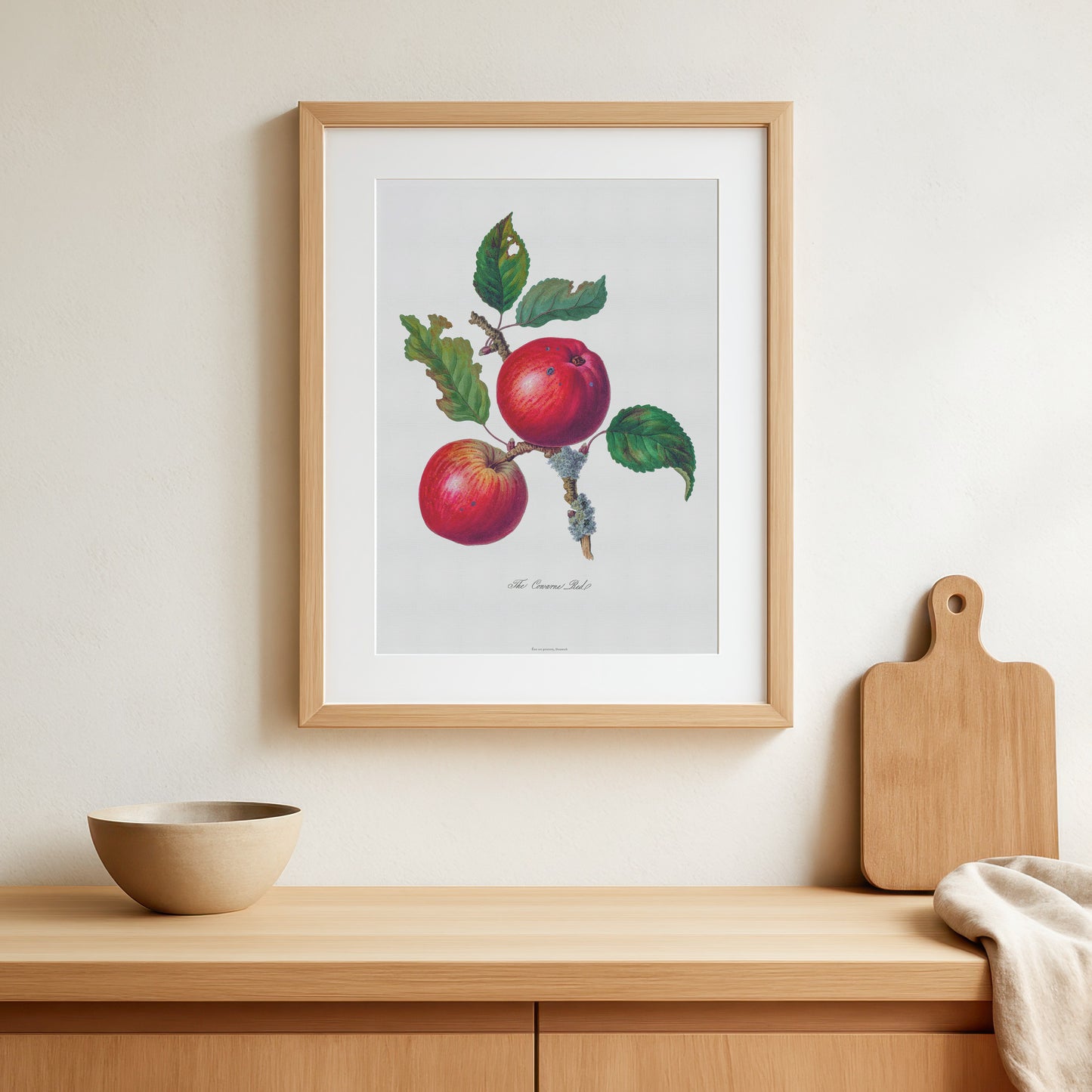 Vintage Apple Poster - 'The Cowarne Red' Fruit Illustration - 1811 Botanical Art Print