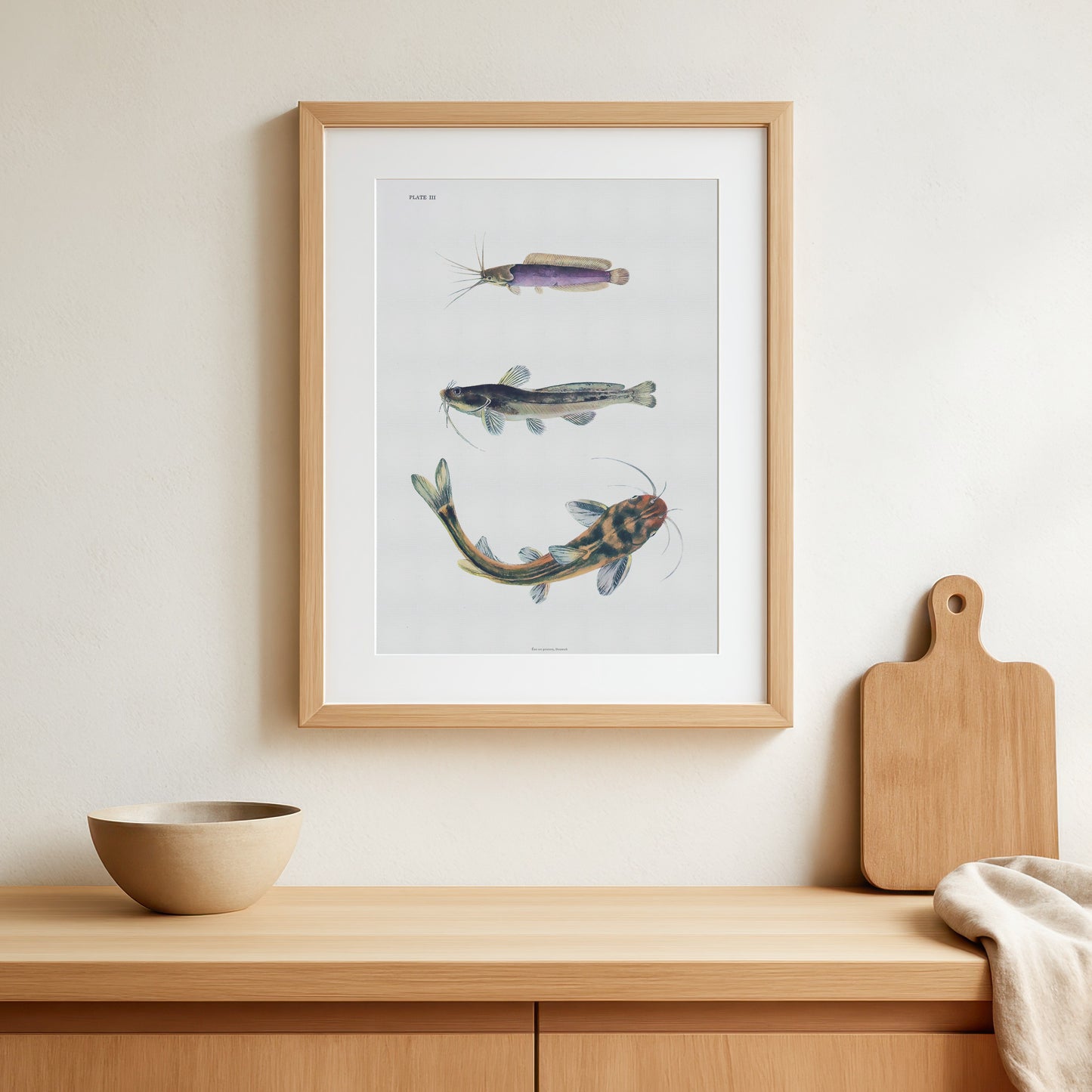 Vintage Catfish Print - Three Species from The Fresh-Water Fishes of China (1943)